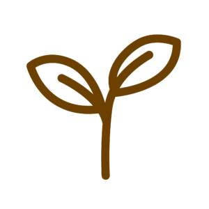 everlight logo